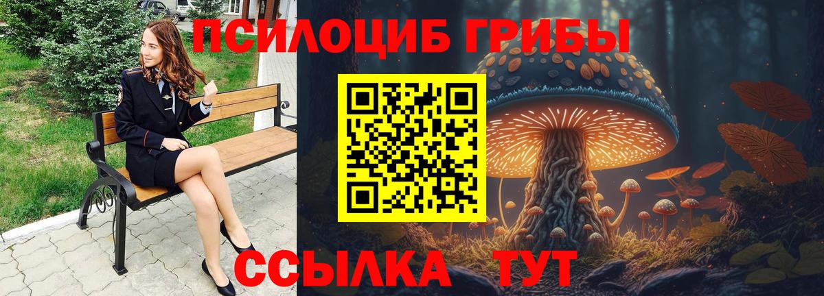Петровск  Псилоцибиновые грибы Psilocybine cubensis  Вход с VPN  Галлюциногенные грибы Cubensis 